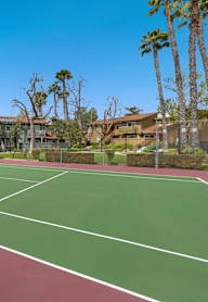 A tennis court with a net and palm trees in the background.