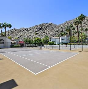 Tennis court surrounded by palm trees and houses.