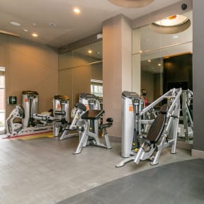 a gym with weights and cardio equipment in a hotel room
