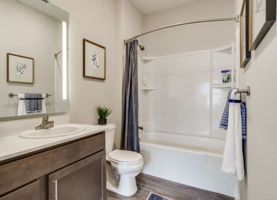 Bathroom (Cedar) at Village Place Apartments, Romeoville, 60446