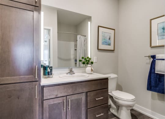 Bathroom (Cedar) at Village Place Apartments, Romeoville, 60446