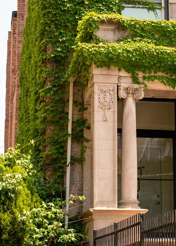 A building with a green plant growing on the side of it.