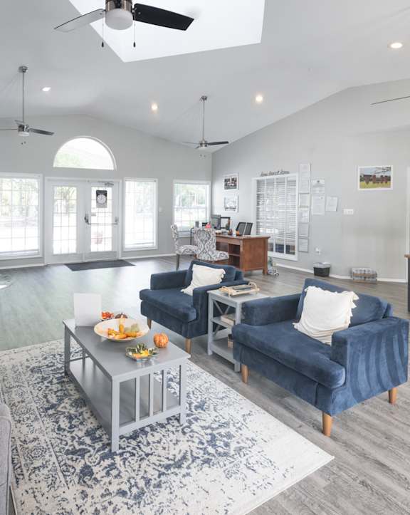 A living room with a grey couch and a blue couch.