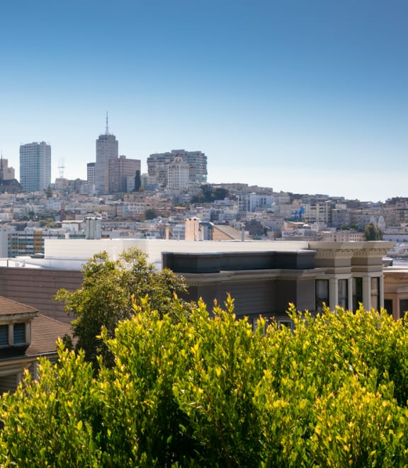 a view of the san francisco skyline