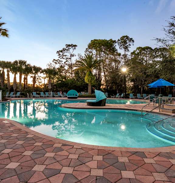 A pool surrounded by palm trees and umbrellas.