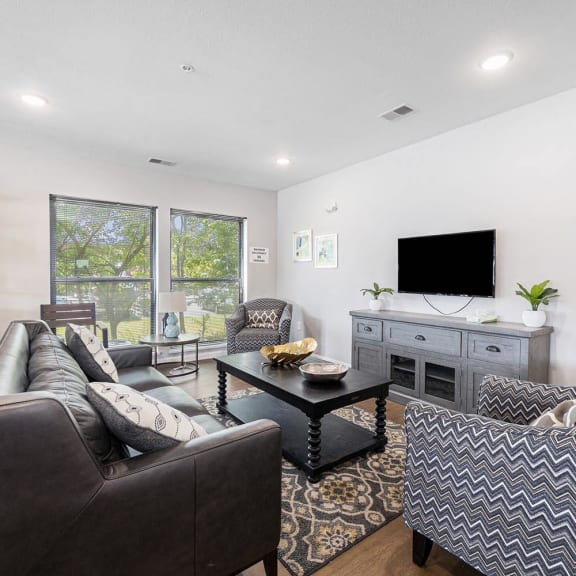 a living room with couches and a tv