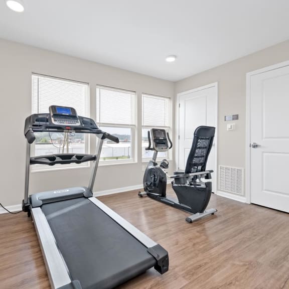 a home gym with a treadmill and exercise balls