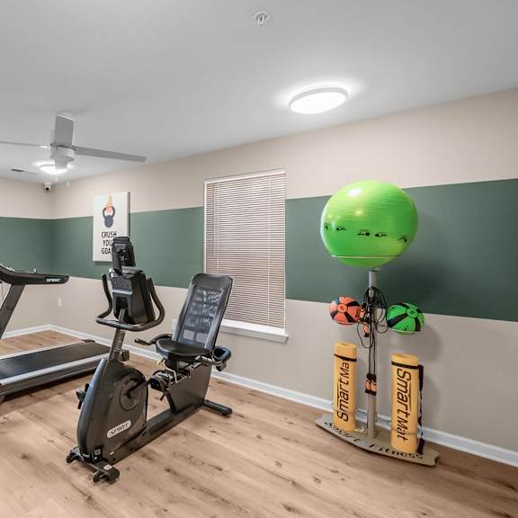 A gym with a treadmill, exercise bike, and weights.