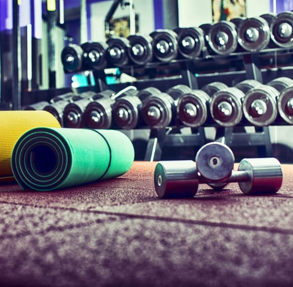 a row of dumbbells and weights in a gym