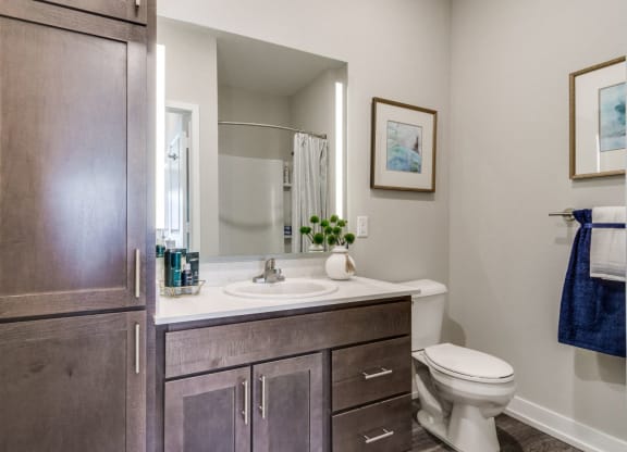 Bathroom (Cedar) at Village Place Apartments, Romeoville, 60446