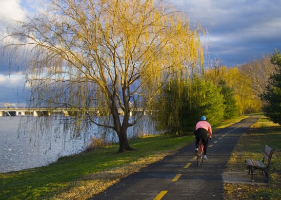 a person riding a bike down a path next to a lake