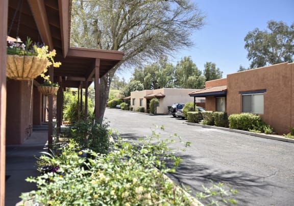 Street view of residential area at San Xavier Casitas, Arizona