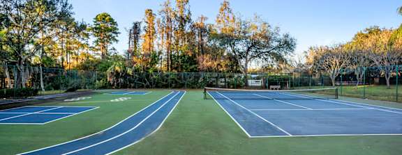 A tennis court surrounded by trees with a clear blue sky.