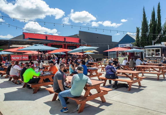 a large group of people sitting at picnic tables in a park