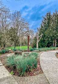 Walkway in a park with trees at Burke Gilman, Seattle