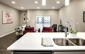 A modern kitchen with a double sink and a dishwasher.