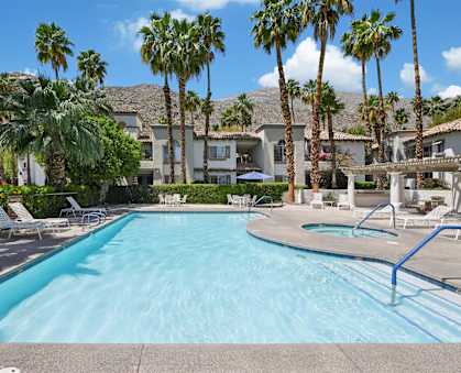 A swimming pool surrounded by palm trees and lounge chairs.