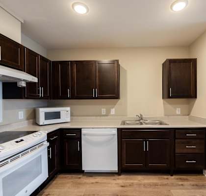 A kitchen with brown cabinets and a white dishwasher.