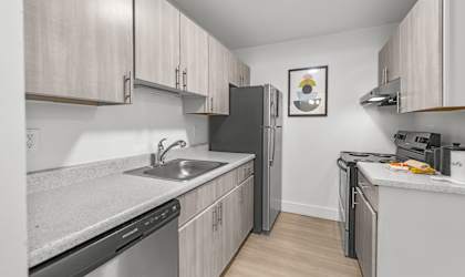 A kitchen with a refrigerator, dishwasher, and sink.