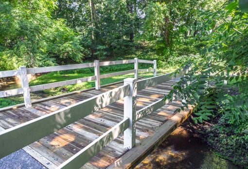 a wooden bridge over a stream in a forest