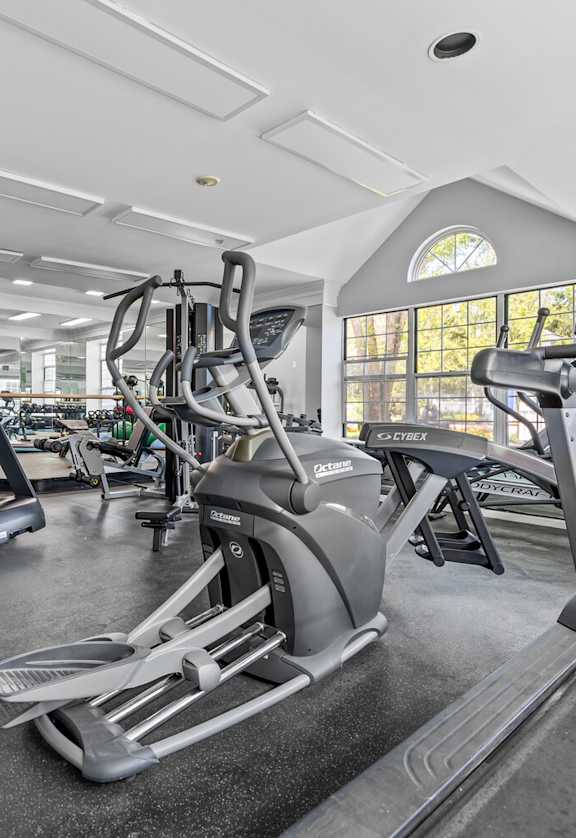 A spacious gym with treadmills, elliptical machines, and other exercise equipment.