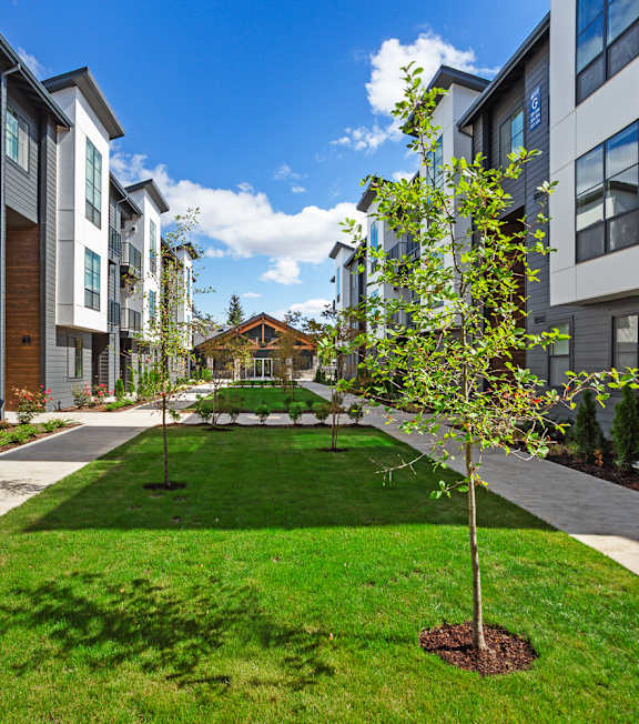 A tree in a small garden in front of apartment buildings.