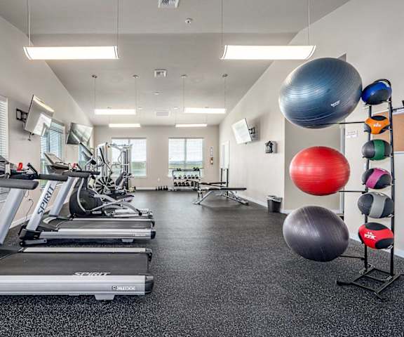 A gym with treadmills, exercise balls, and other equipment.