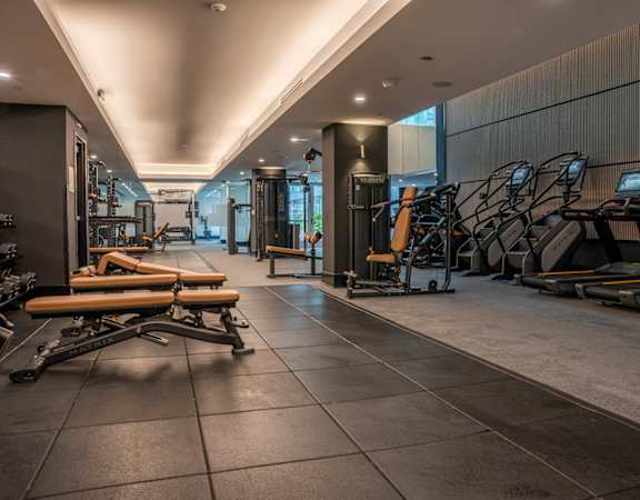 A gym with treadmills and exercise equipment.