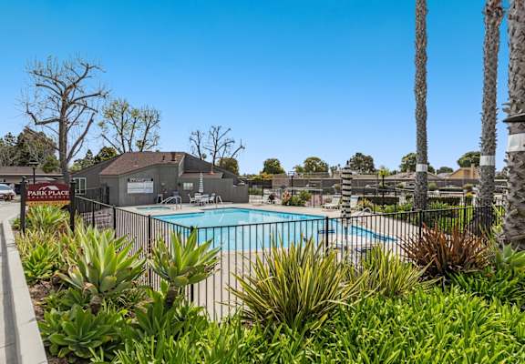 A pool surrounded by green plants and trees.