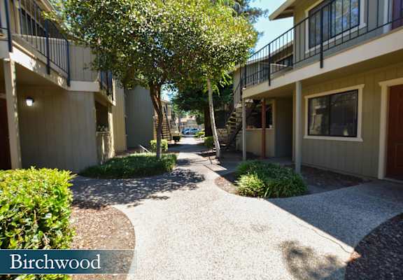 a walkway between two apartment buildings with trees and bushes