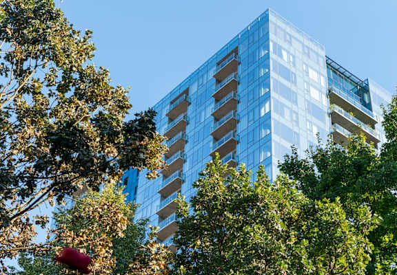 A tall glass building is surrounded by trees.