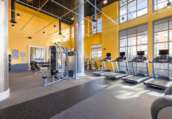 A gym with treadmills, weights, and exercise machines. at Indigo 301, King of Prussia