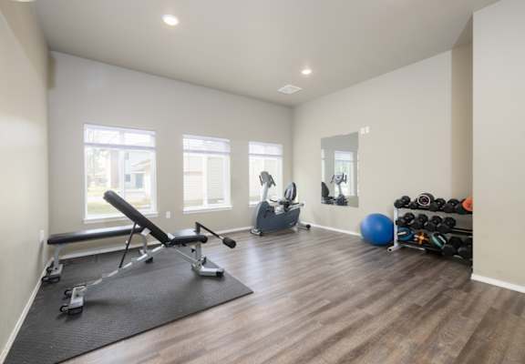 A home gym with a bench, weights, and exercise balls.
