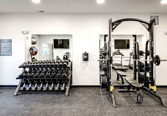 VUE 19 (Fitness Center)  A gym with a variety of equipment including dumbbells and weight machines.