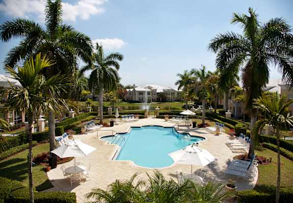 A large swimming pool surrounded by palm trees and lounge chairs.