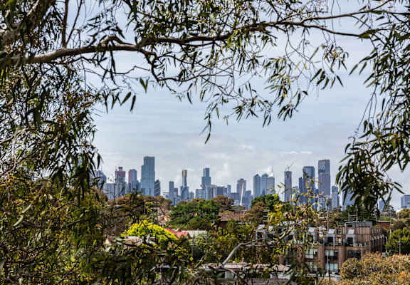 a view of the skyline from a park with trees