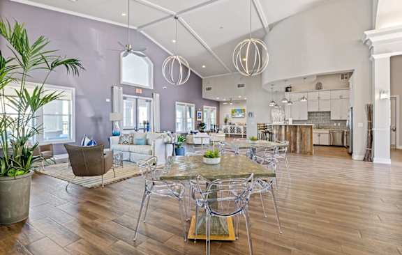 A dining table with chairs and a potted plant on it.