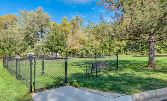 A black fence surrounds a park bench in a grassy area.