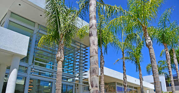 A modern building with palm trees in front.