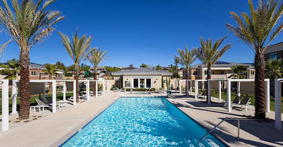 A large swimming pool surrounded by palm trees and lounge chairs.