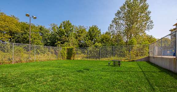 a fenced in dog park with a picnic table in the grass
