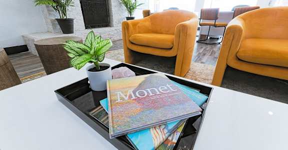 The Monet Apartments in Dallas, Texas Clubhouse Lounge with Fireplace