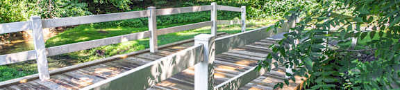 a wooden bridge over a stream in a forest