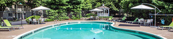 a swimming pool with chairs and umbrellas in a courtyard with trees
