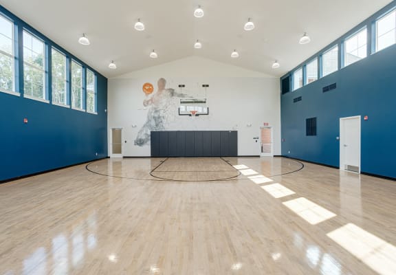 the multipurpose room has a basketball court and a blue wall with a mural