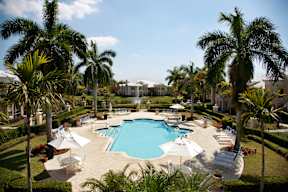 A large swimming pool surrounded by palm trees and lounge chairs.