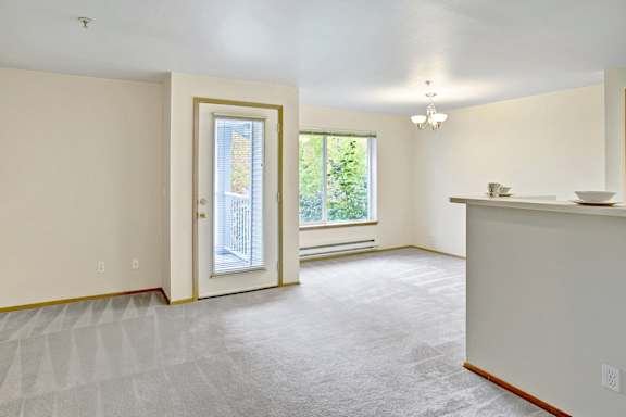 A room with a carpeted floor and a window with a view of a fence and trees.