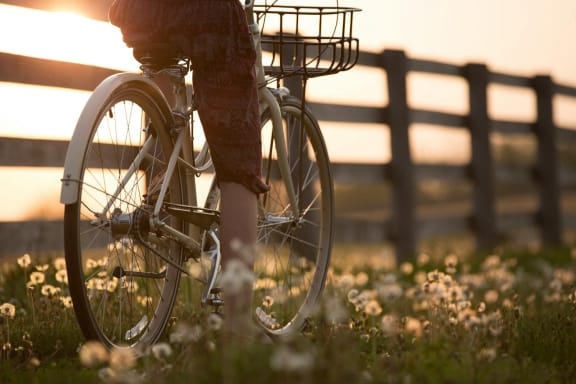 a person riding a bike through a field of flowers