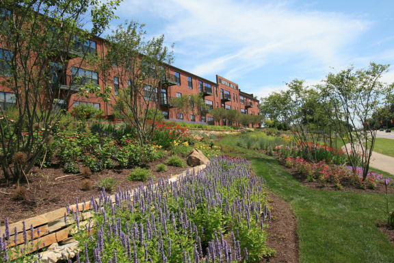a garden with purple and yellow flowers and a brick building in the background  at Hayden Lofts Apartments, Dublin