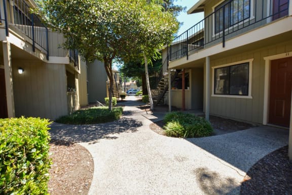 View of building at Birchwood Apartments